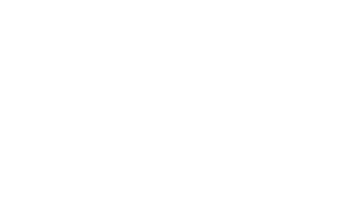 Wife Mom Boss