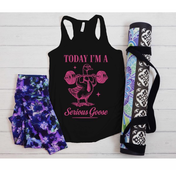 Today I'm A Serious Goose