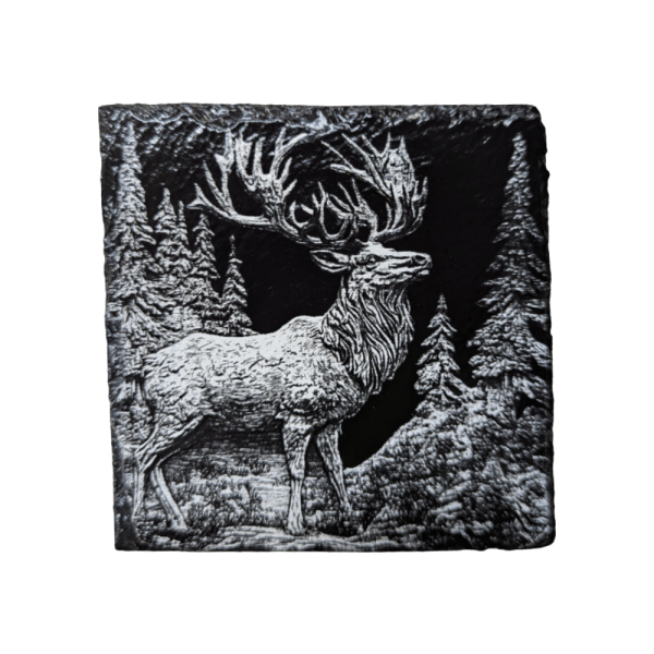 Elk