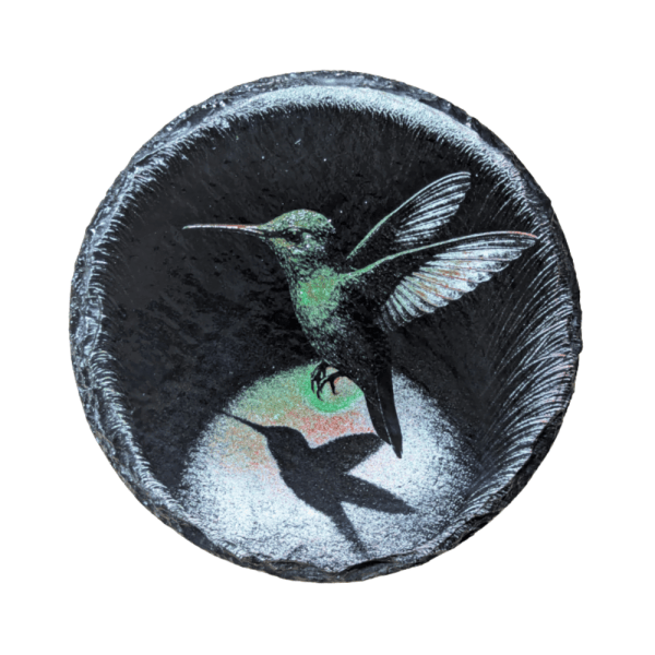 Hummingbird