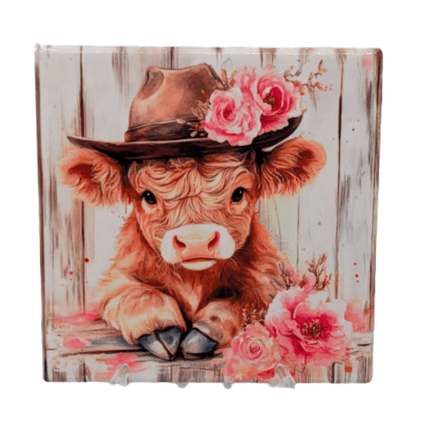 Baby Highland Cow